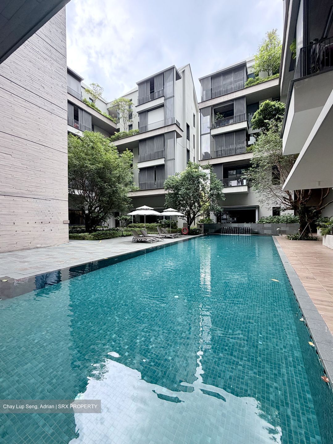 10 Evelyn (D11), Apartment #554617051